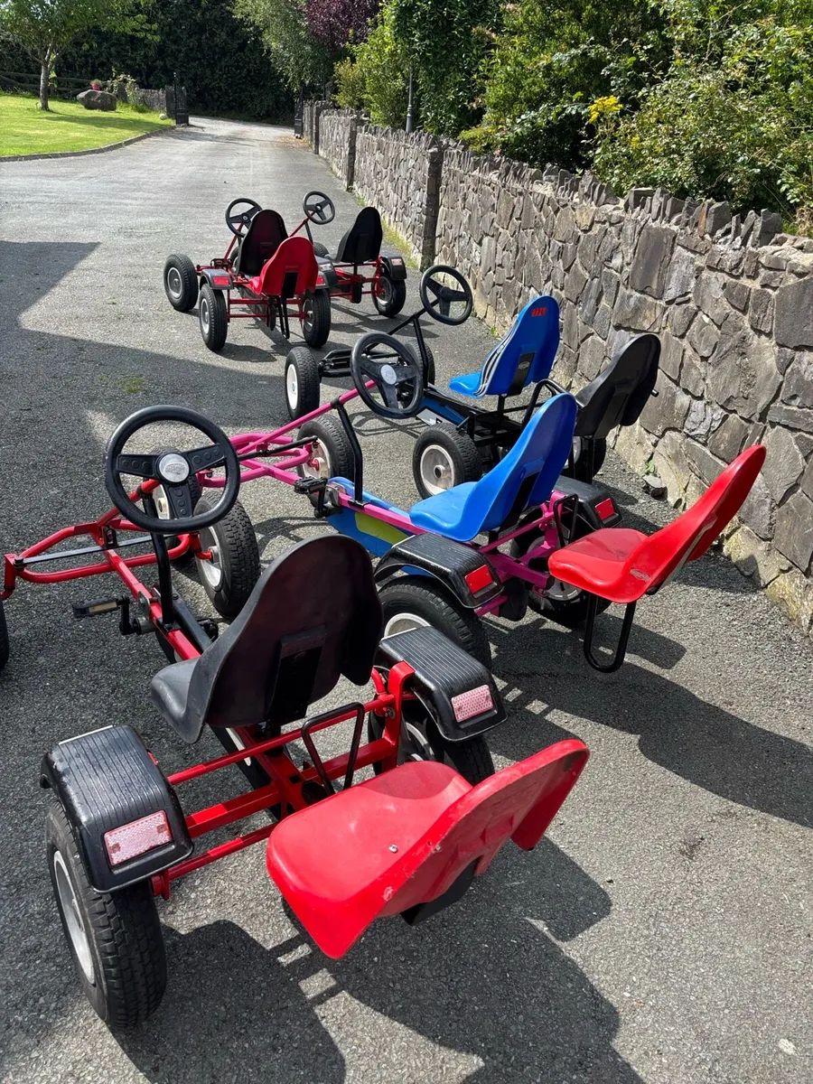 Berg go carts - Image 3
