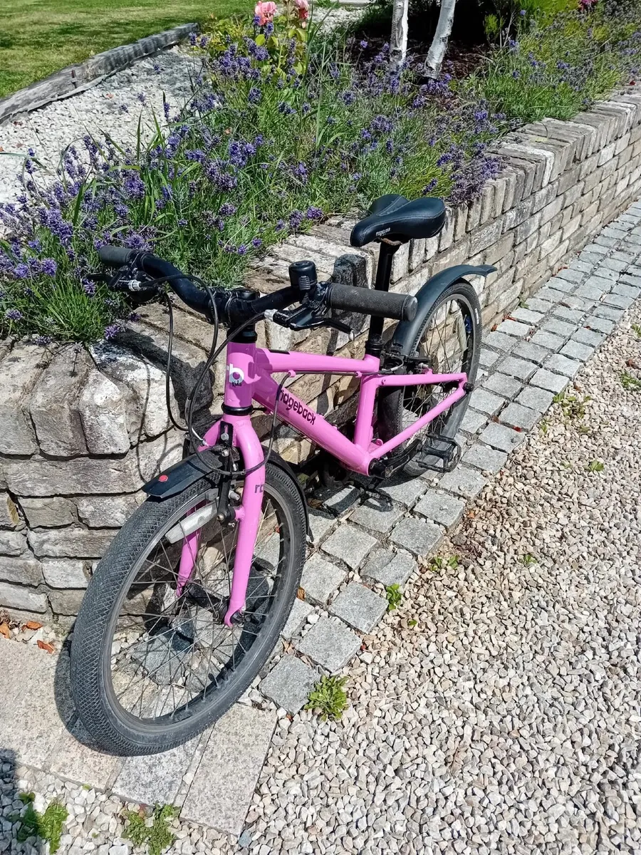 Bicycle girls 6+ years - Image 1