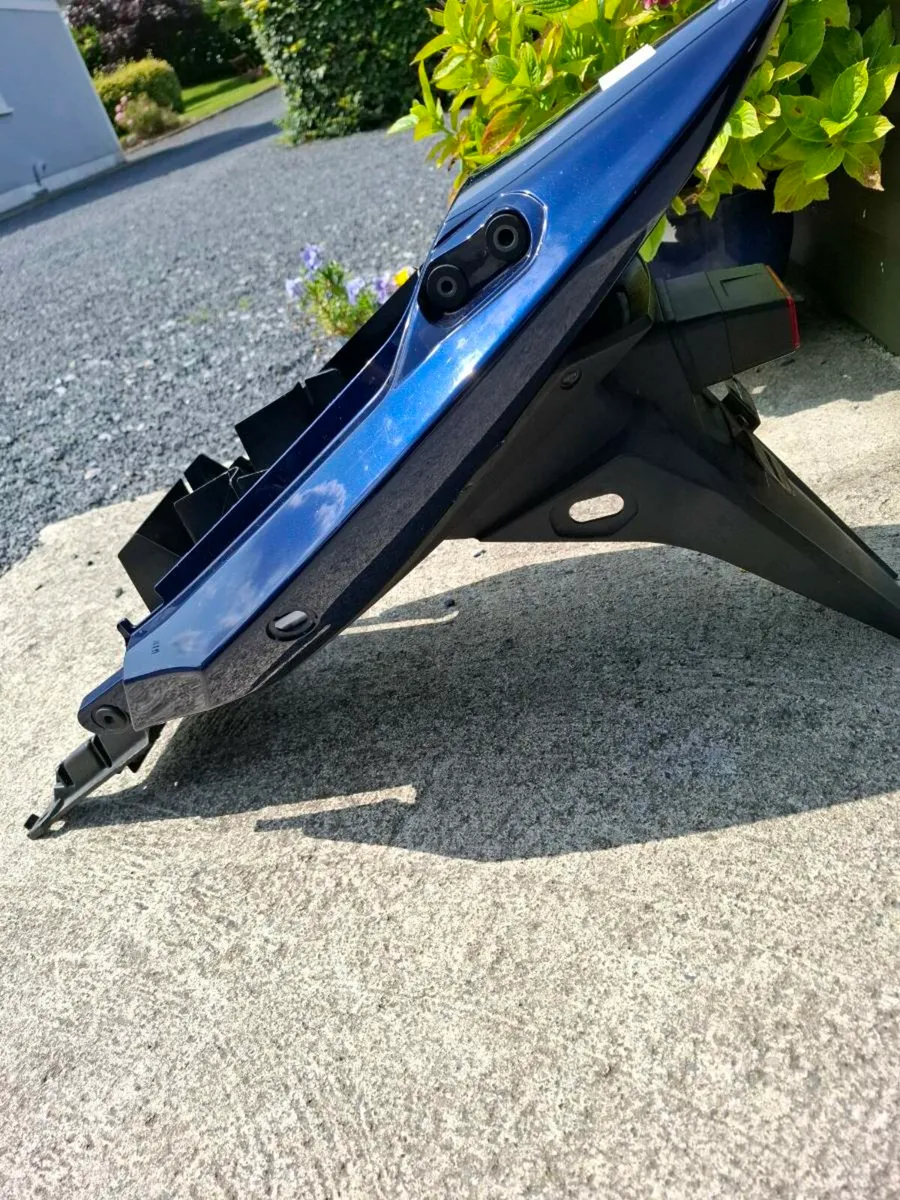 Suzuki bandit tailpeice - Image 4