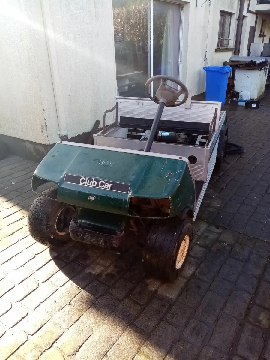 Golf Buggy Electric - Image 1