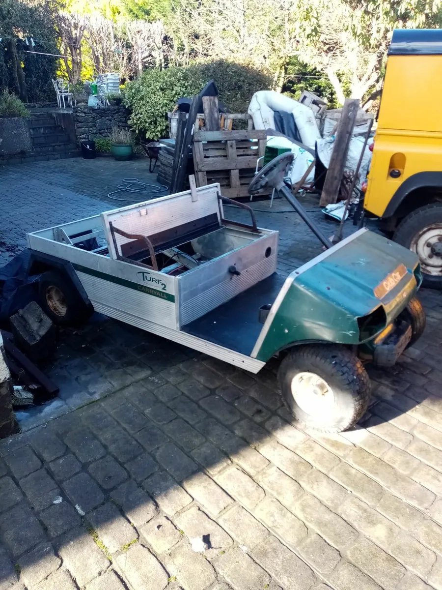 Golf Buggy Electric - Image 3