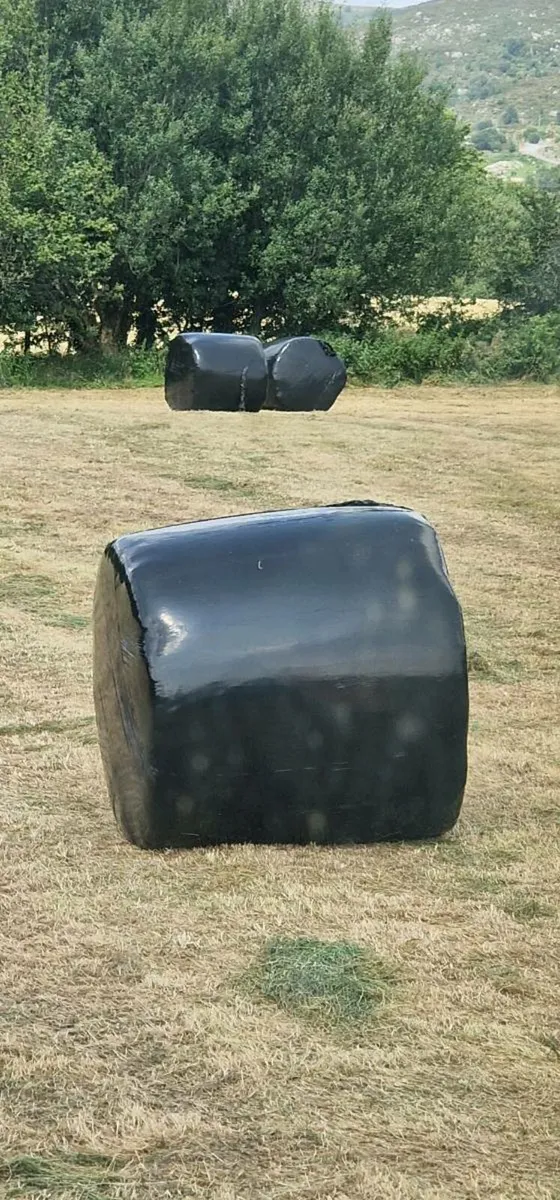 Silage Bales