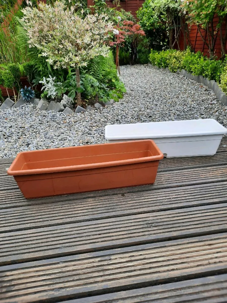 Two large window boxes