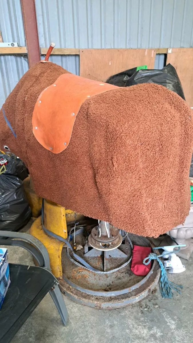 Rodeo Bull - Image 1