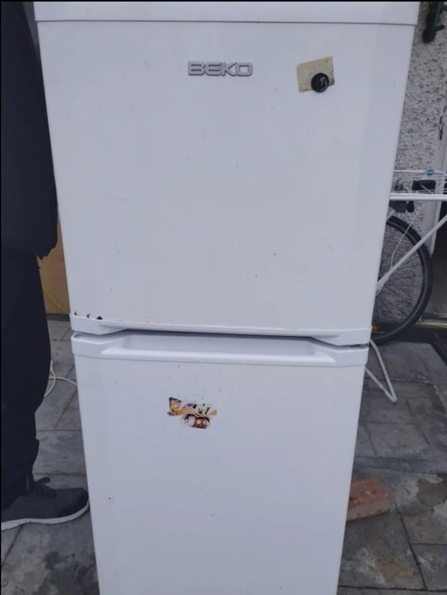 Fridge freezer - Image 1