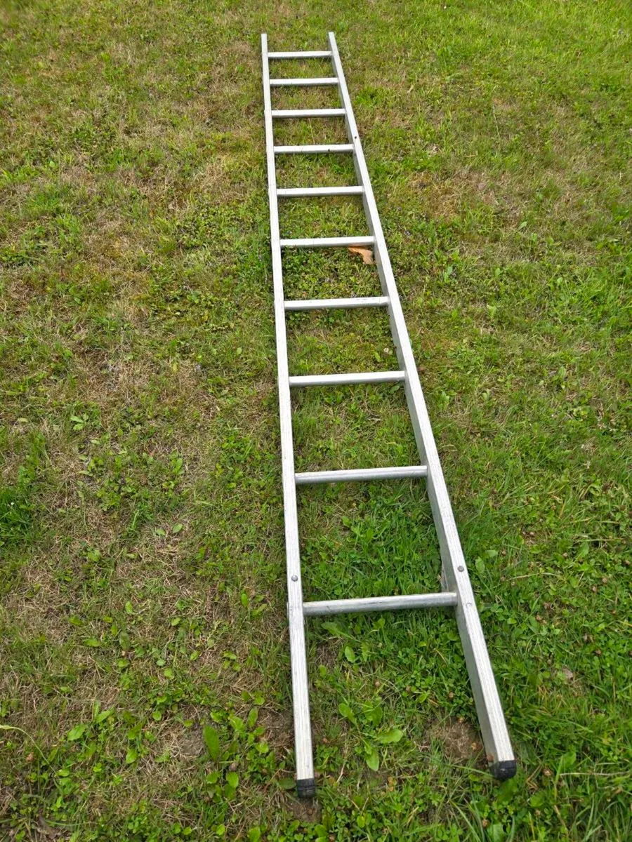 Ladder single 3 metres
