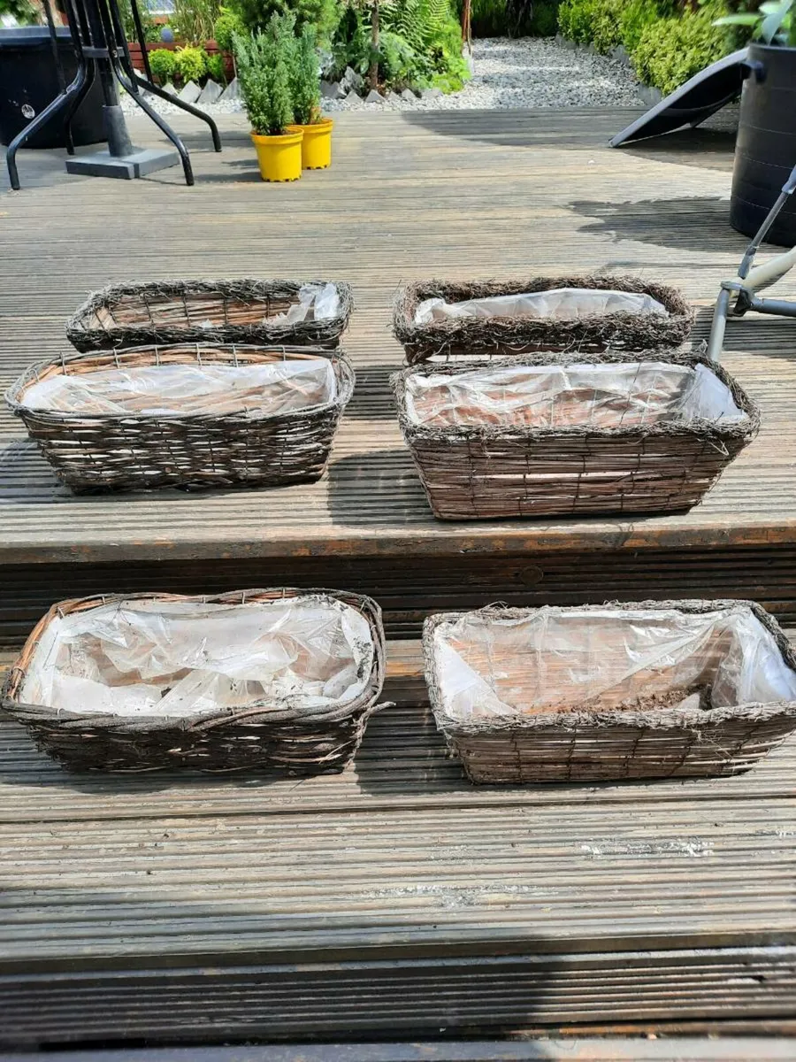Six Wicker window boxes
