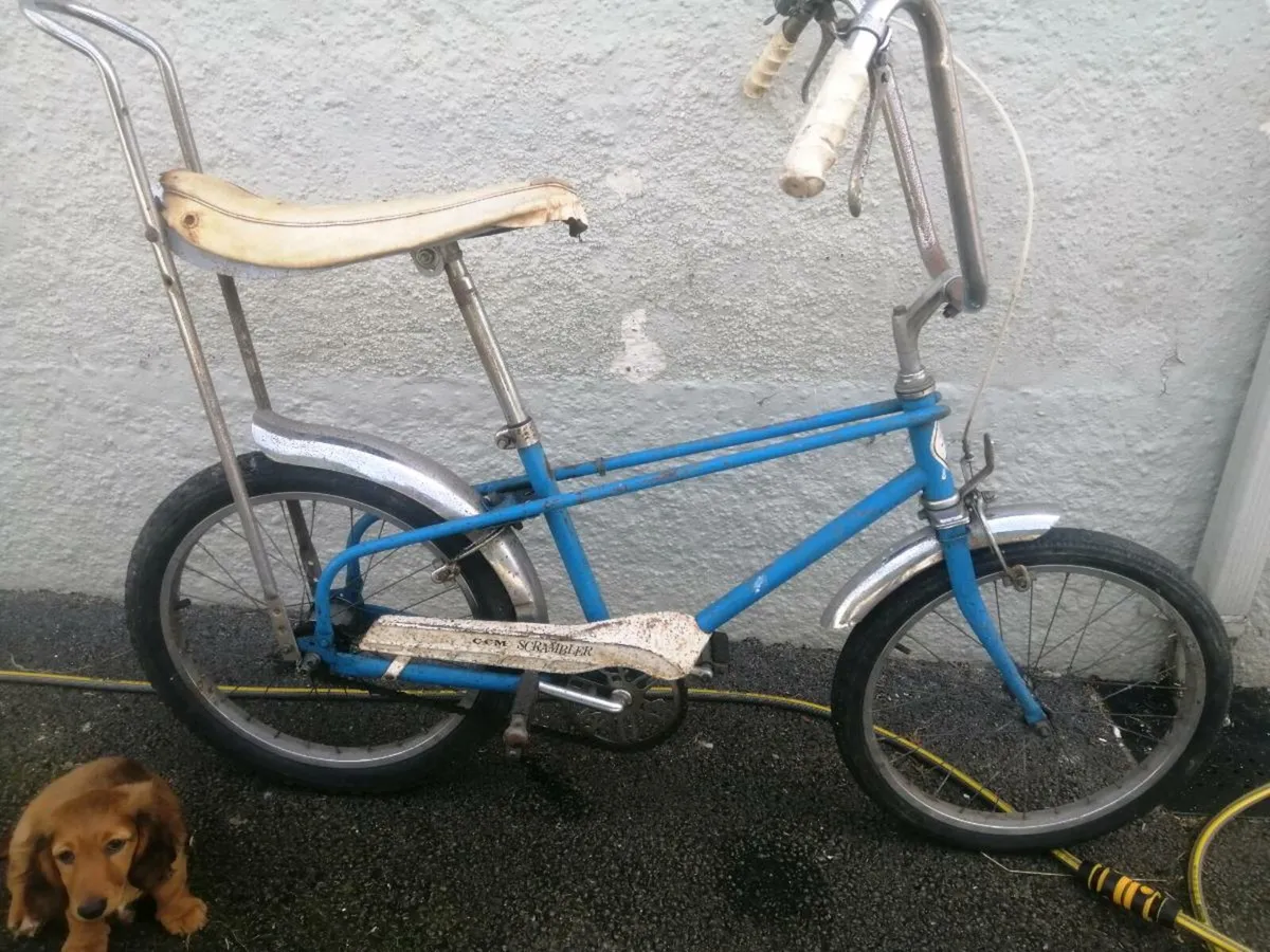 Chopper, vintage bike not Nellie or Raleigh, CCM - Image 1