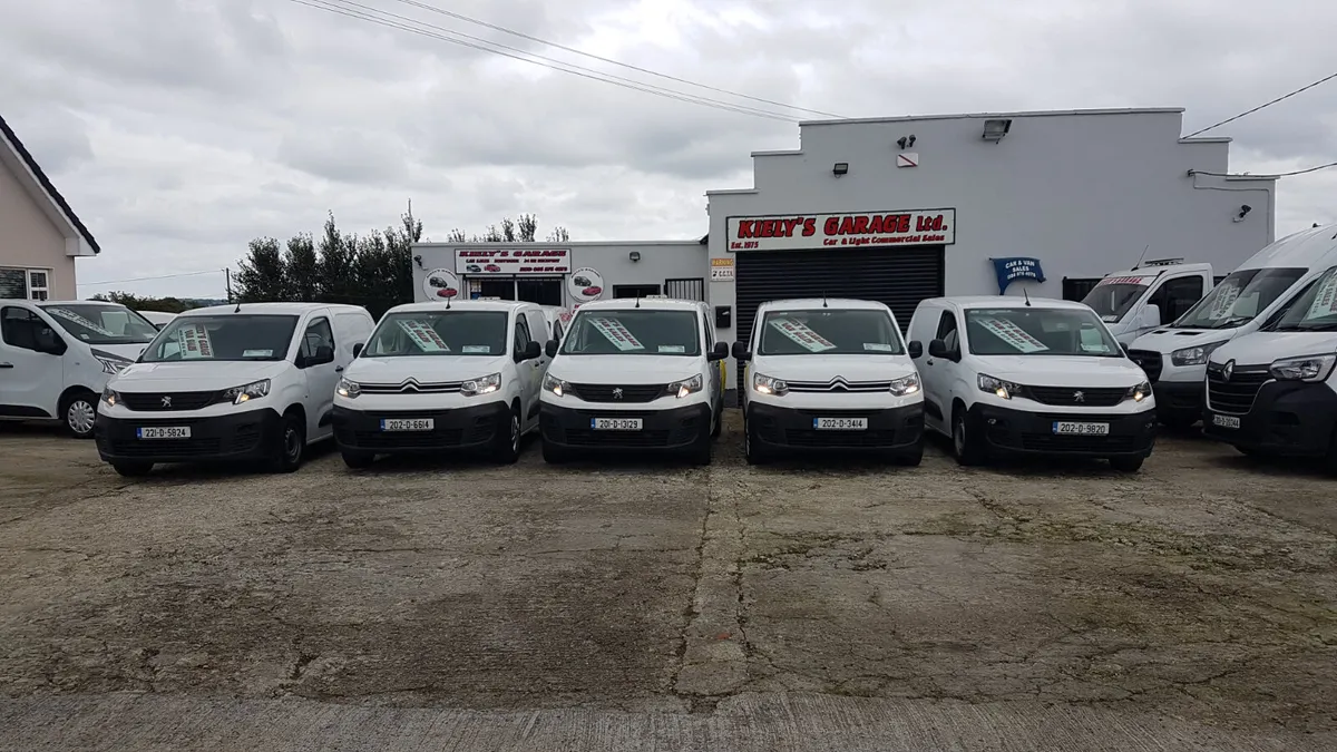 Peugeot Partner /CITROEN BERLINGOS SELCTION - Image 1