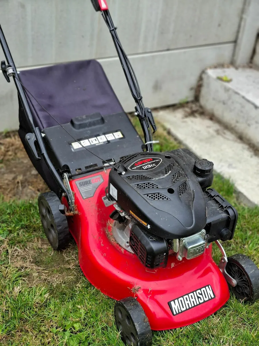 Morrison SureCut Push Rotary Lawnmower - Image 1