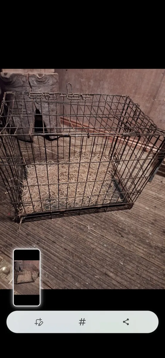 Pod/ pet carriers - Image 1