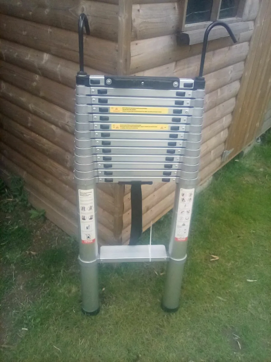 Ladder - Image 2