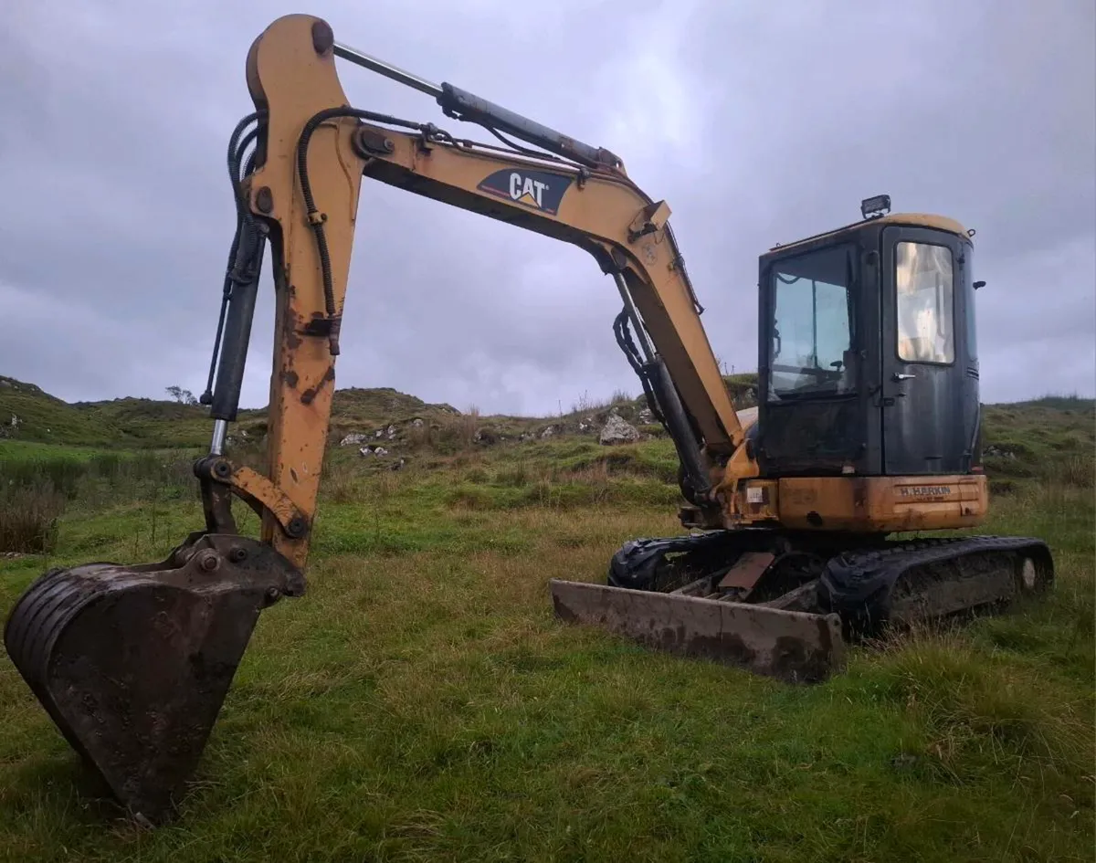 Cat 305 - Image 2