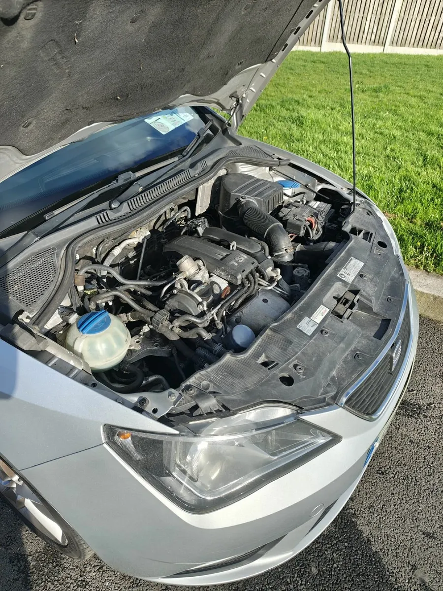 SEAT Ibiza 2013 - Image 2