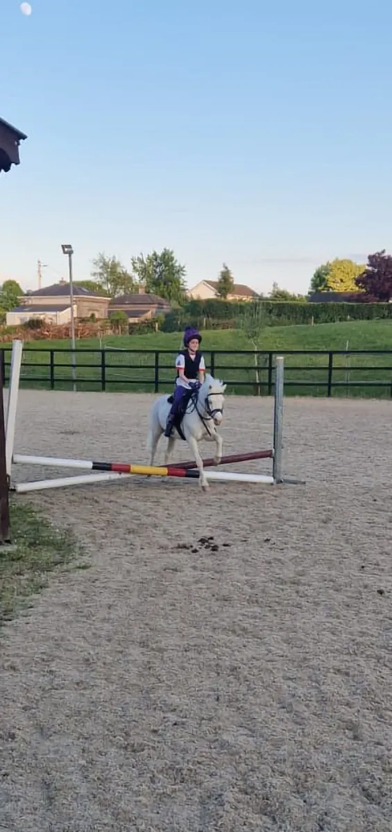 Lead rein or 11/2 pony. - Image 2