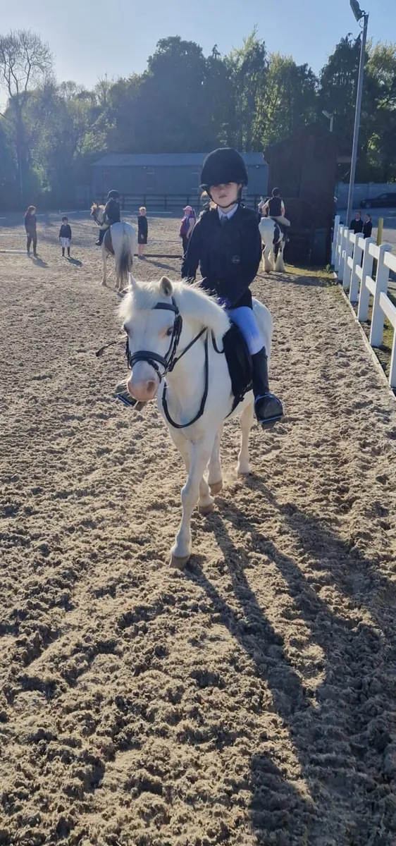 Lead rein or 11/2 pony. - Image 3
