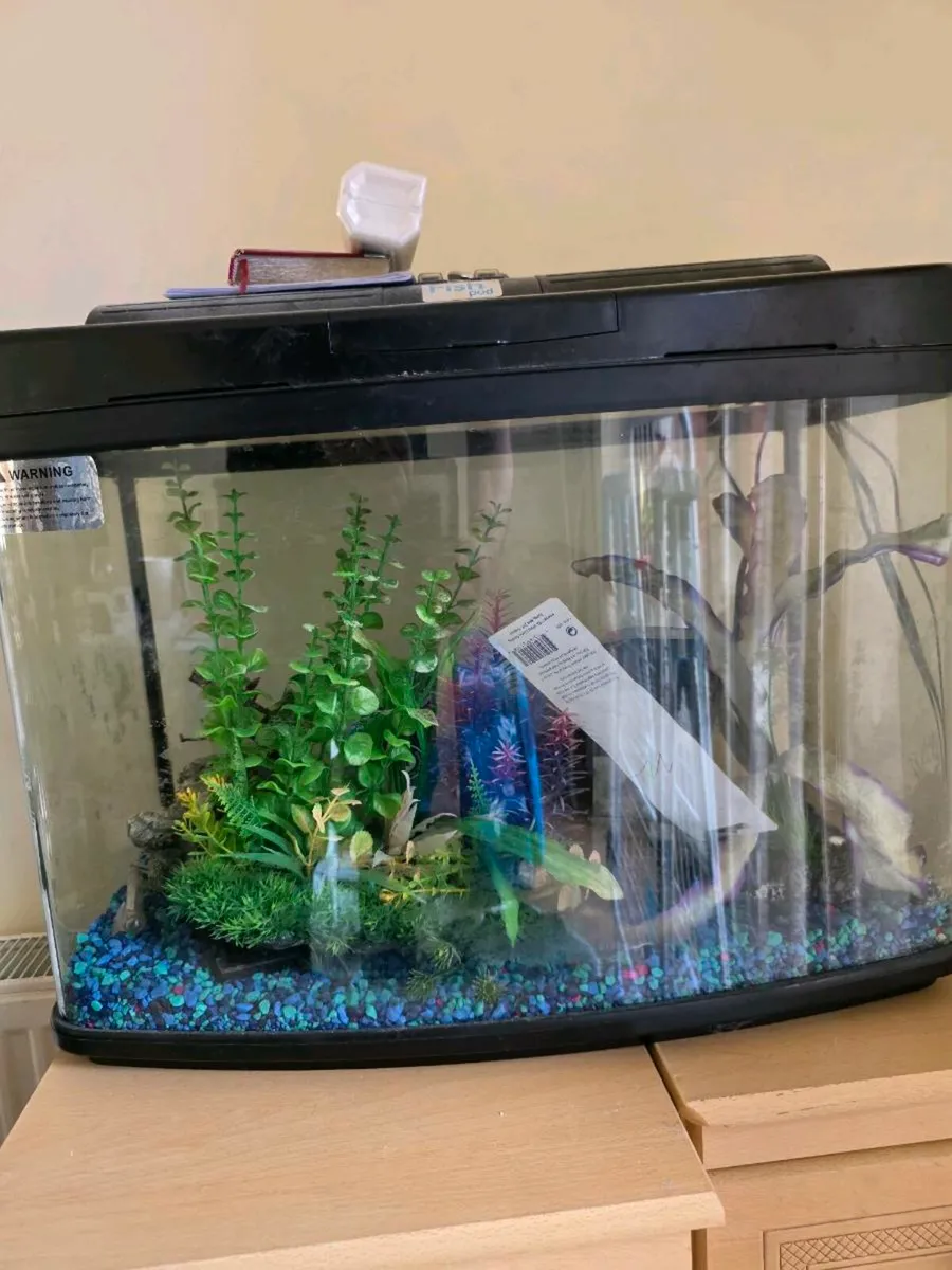 Medium sized aquarium with decorations - Image 1
