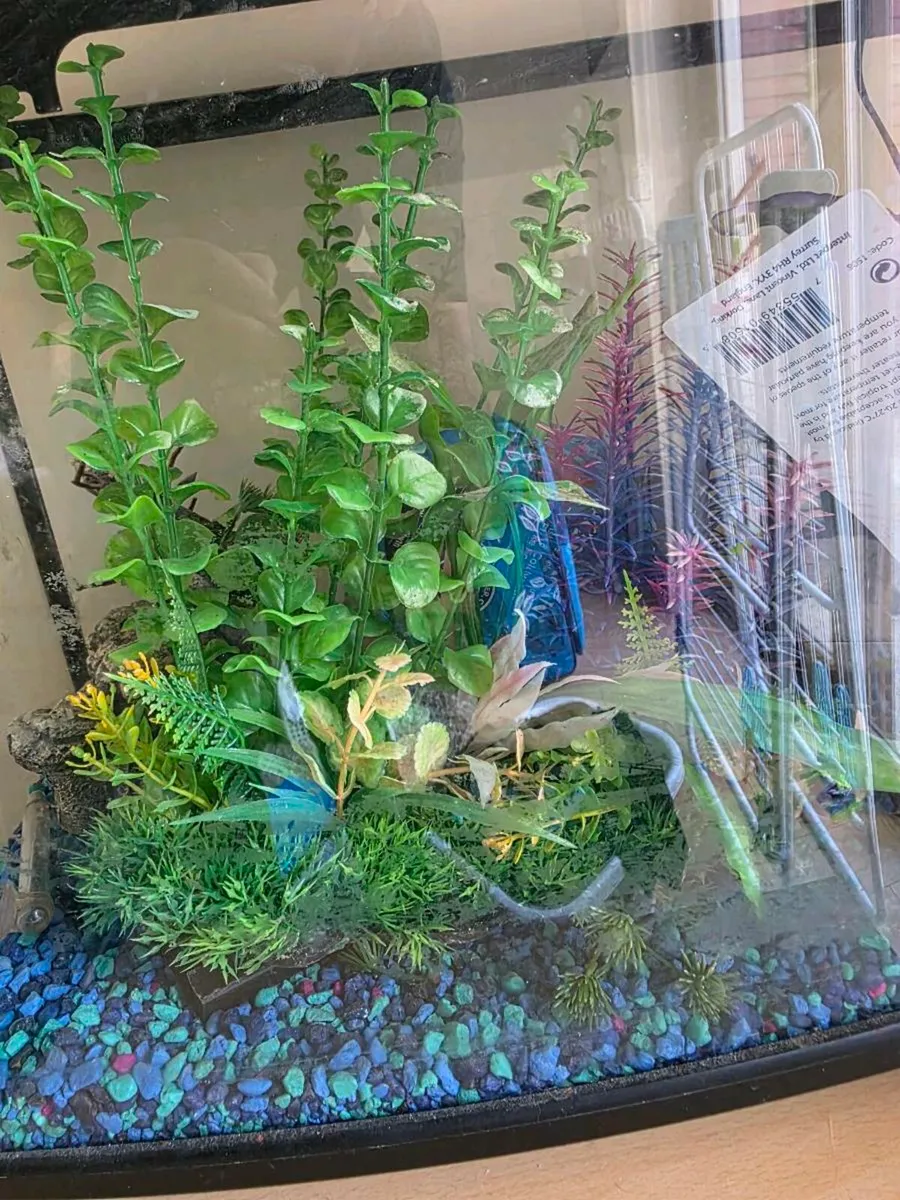 Medium sized aquarium with decorations - Image 2