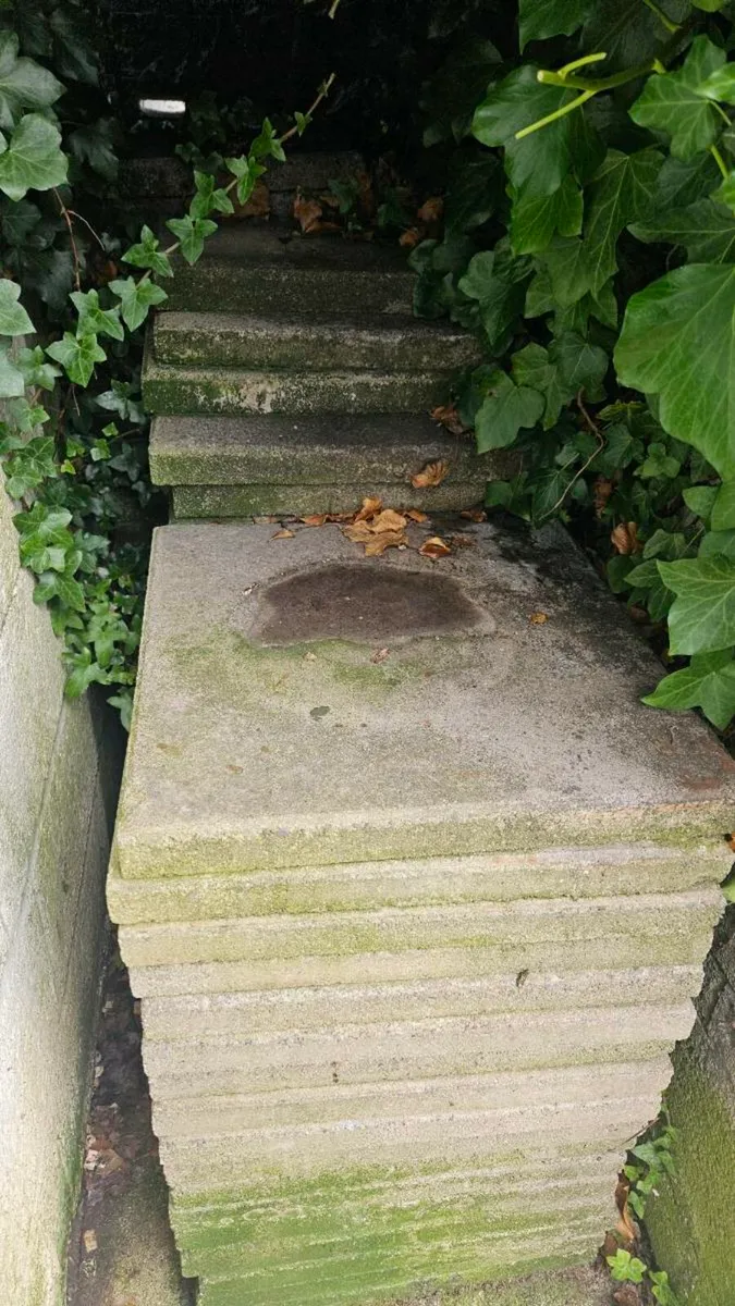 Paving slabs - FREE
