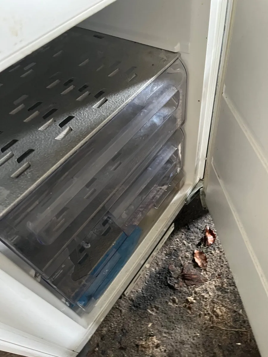 Kitchen cabinets and appliances - Image 3