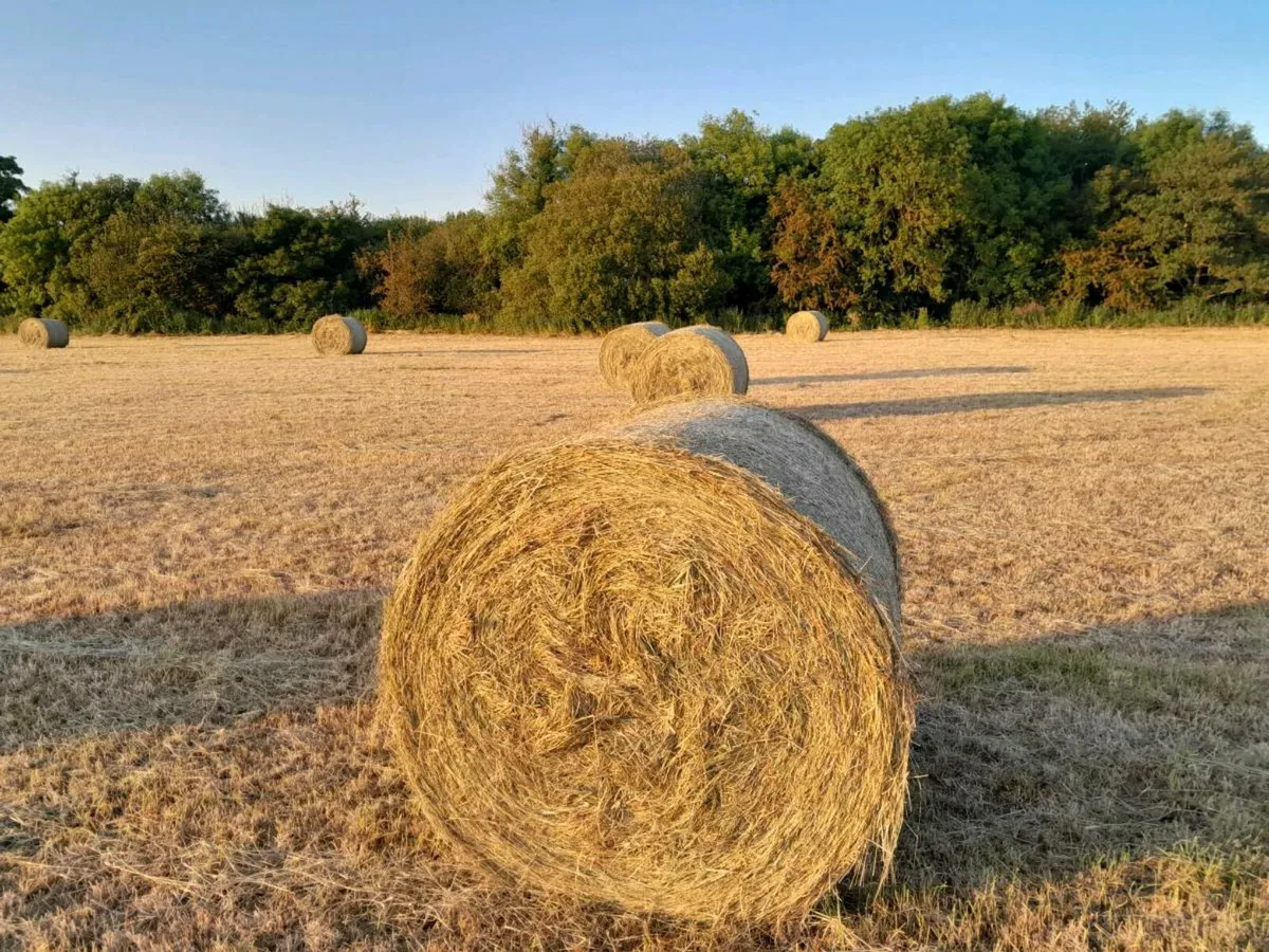Hay 4×4 Top Quality - Image 1