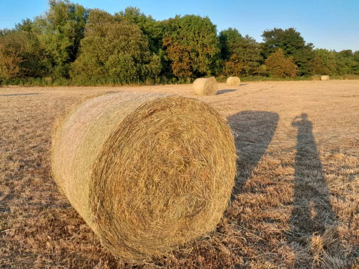 Hay 4×4 Top Quality - Image 3