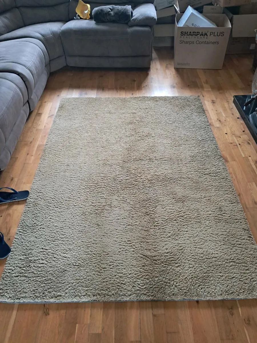 Large Rug - Image 1