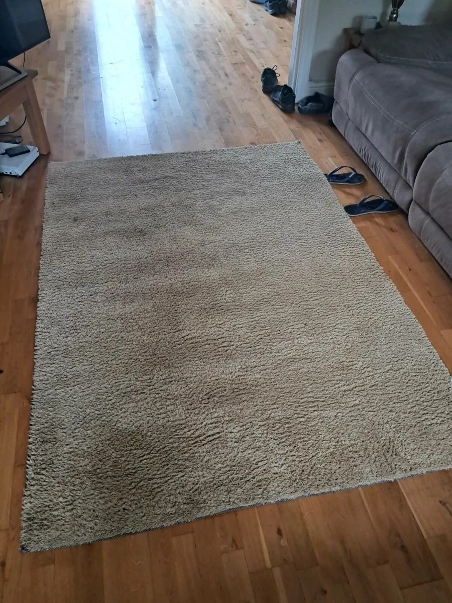 Large Rug - Image 2