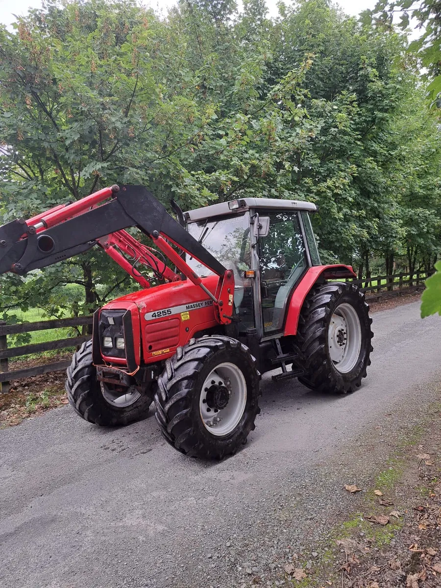 Massey Ferguson 4255 - Image 2