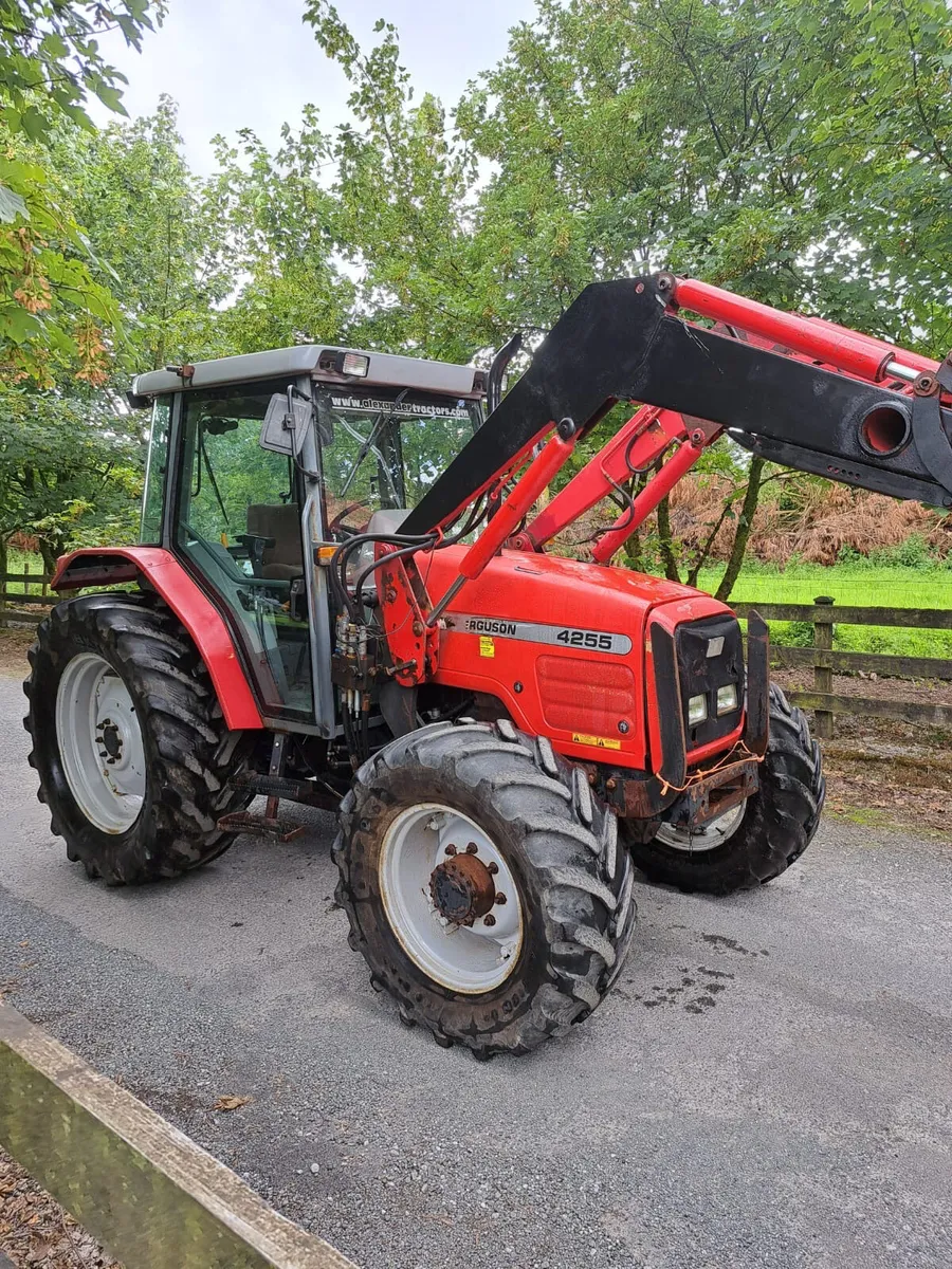 Massey Ferguson 4255 - Image 1