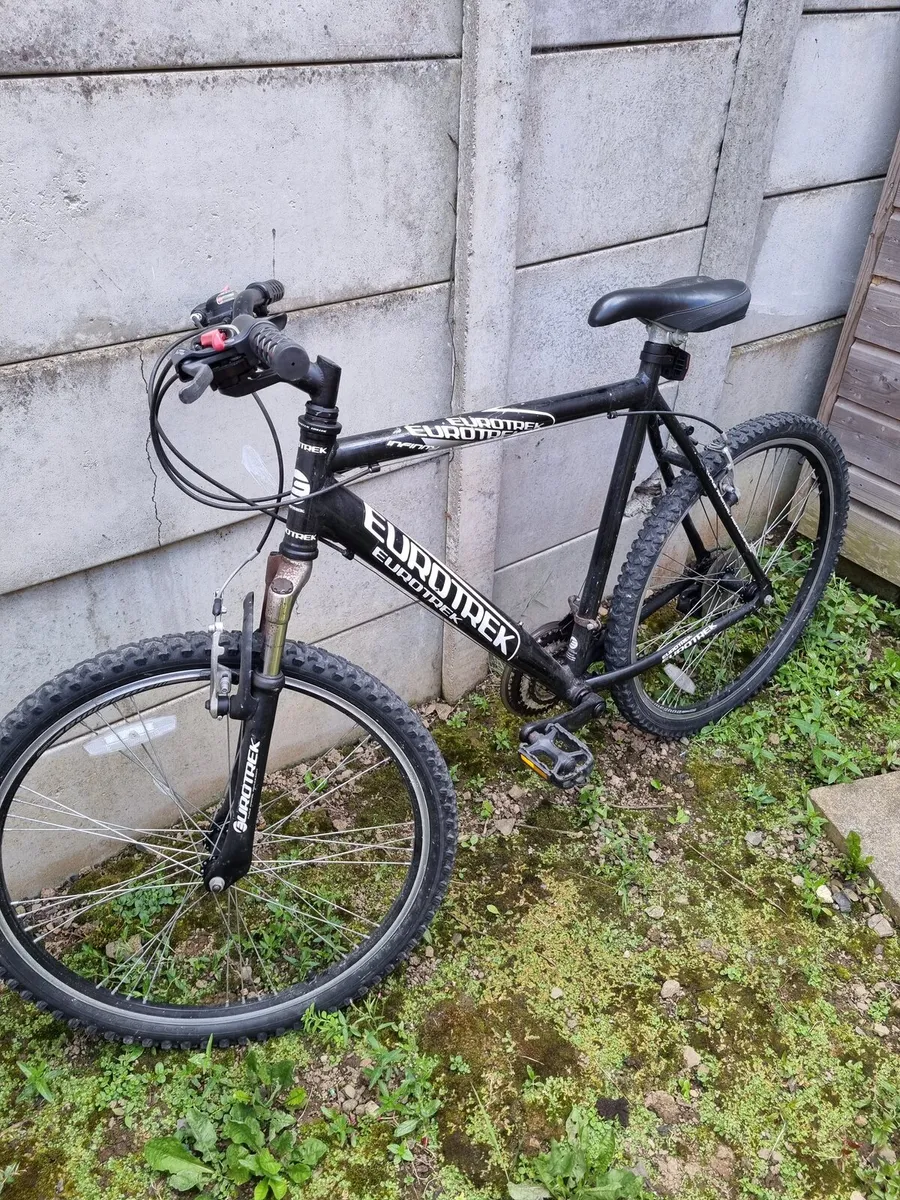 Bicycle - Image 1