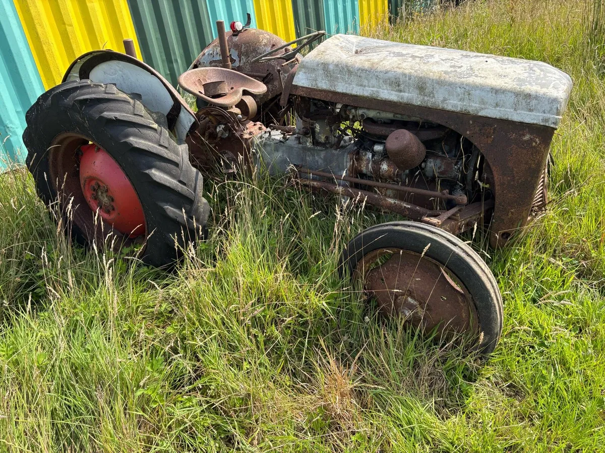 Ferguson 20