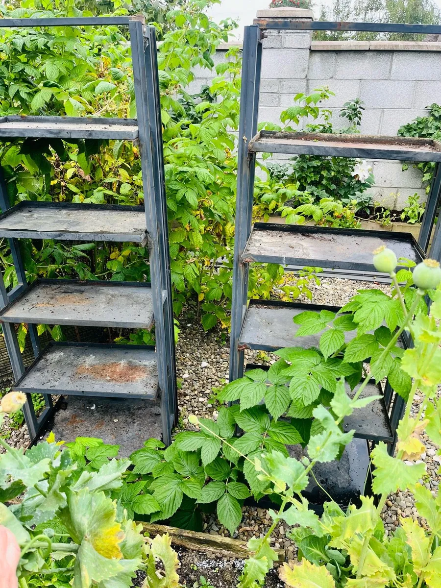 Two metal stands for plants - Image 2