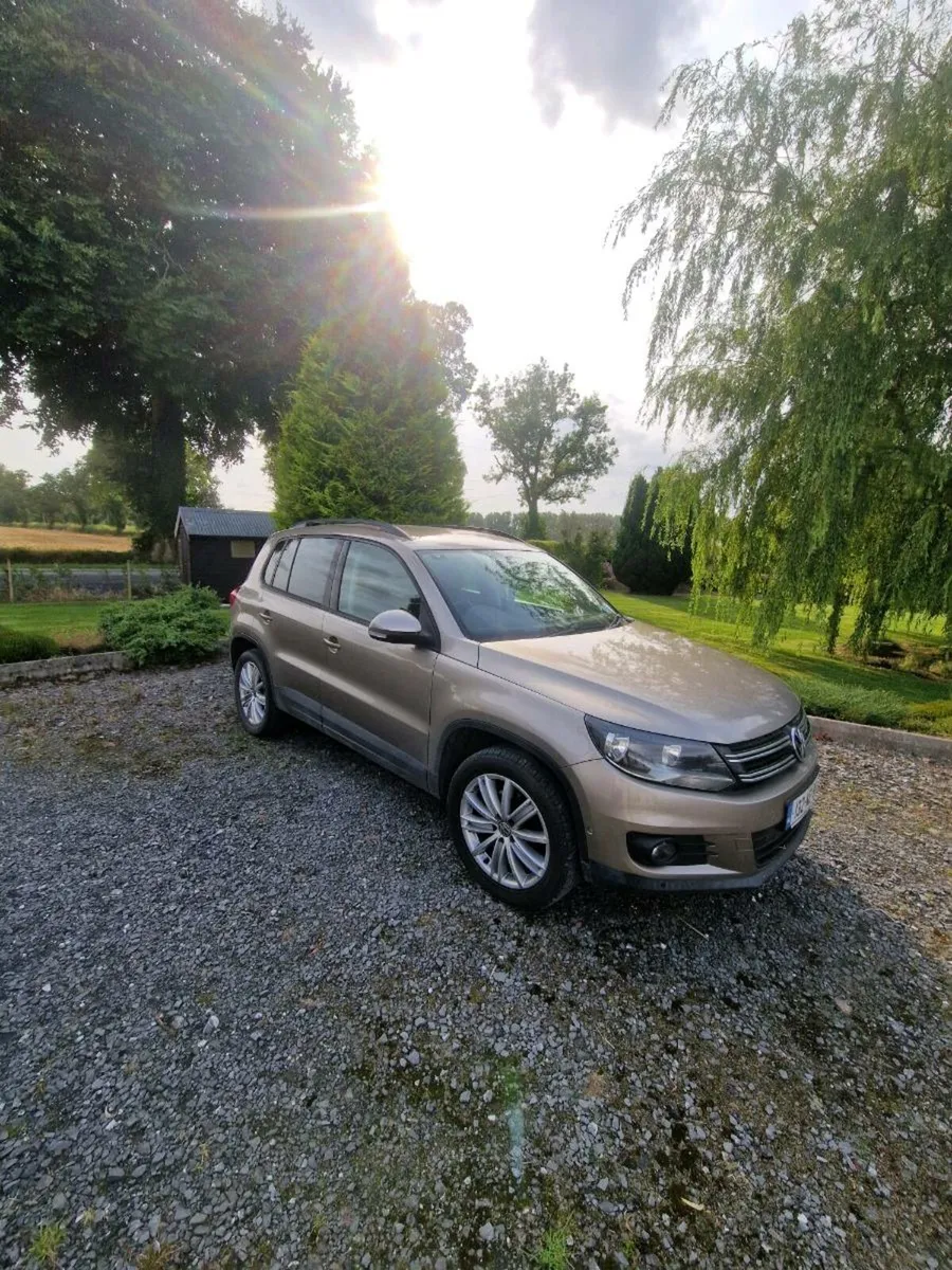 2013 Volkswagen Tiguan - Image 1