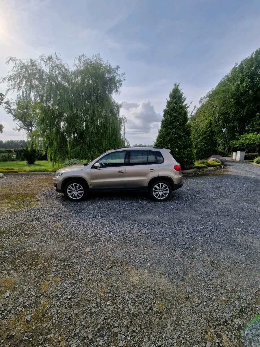 2013 Volkswagen Tiguan - Image 2
