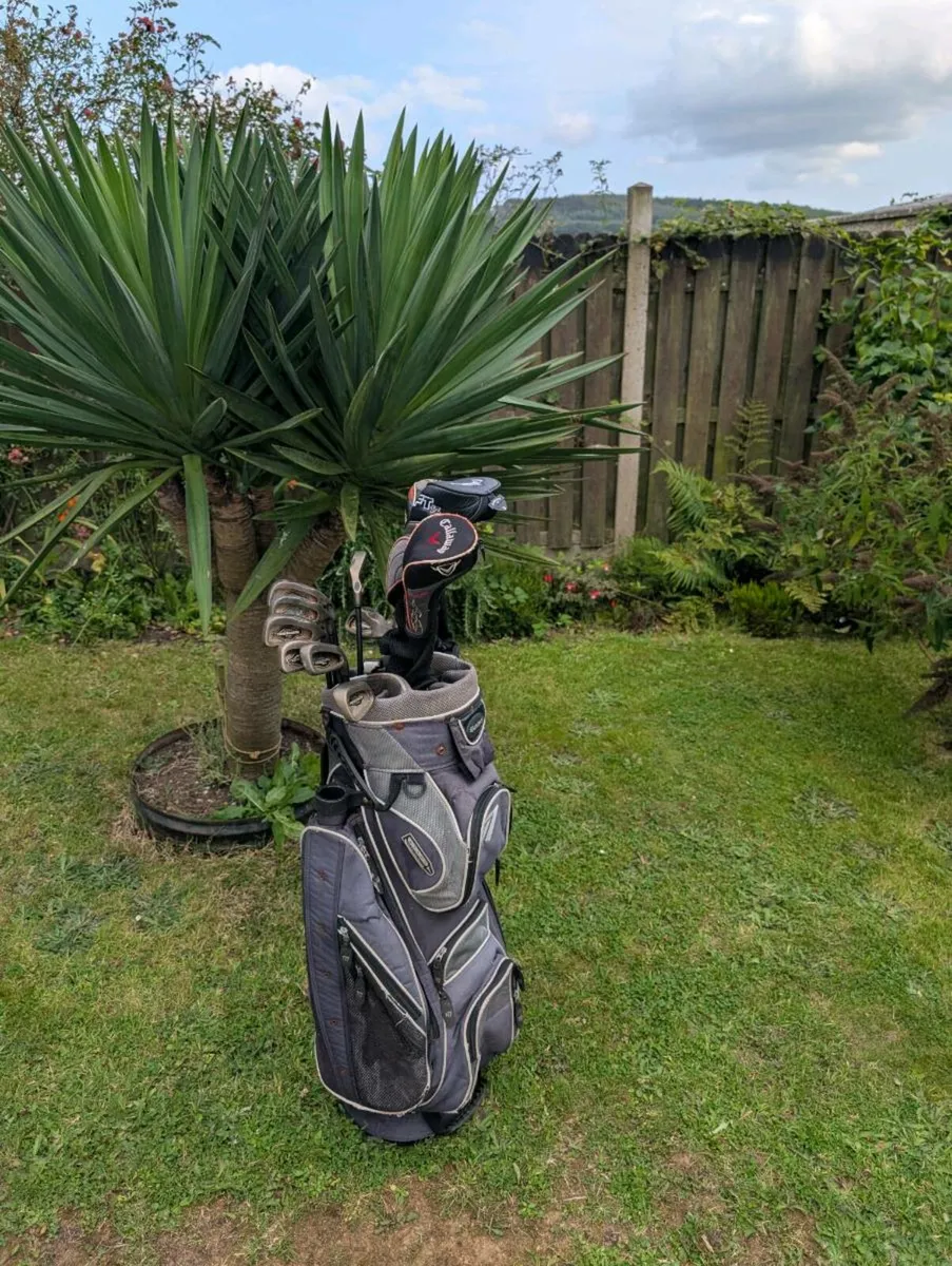 Full callaway Golf clubs set up must go today - Image 1