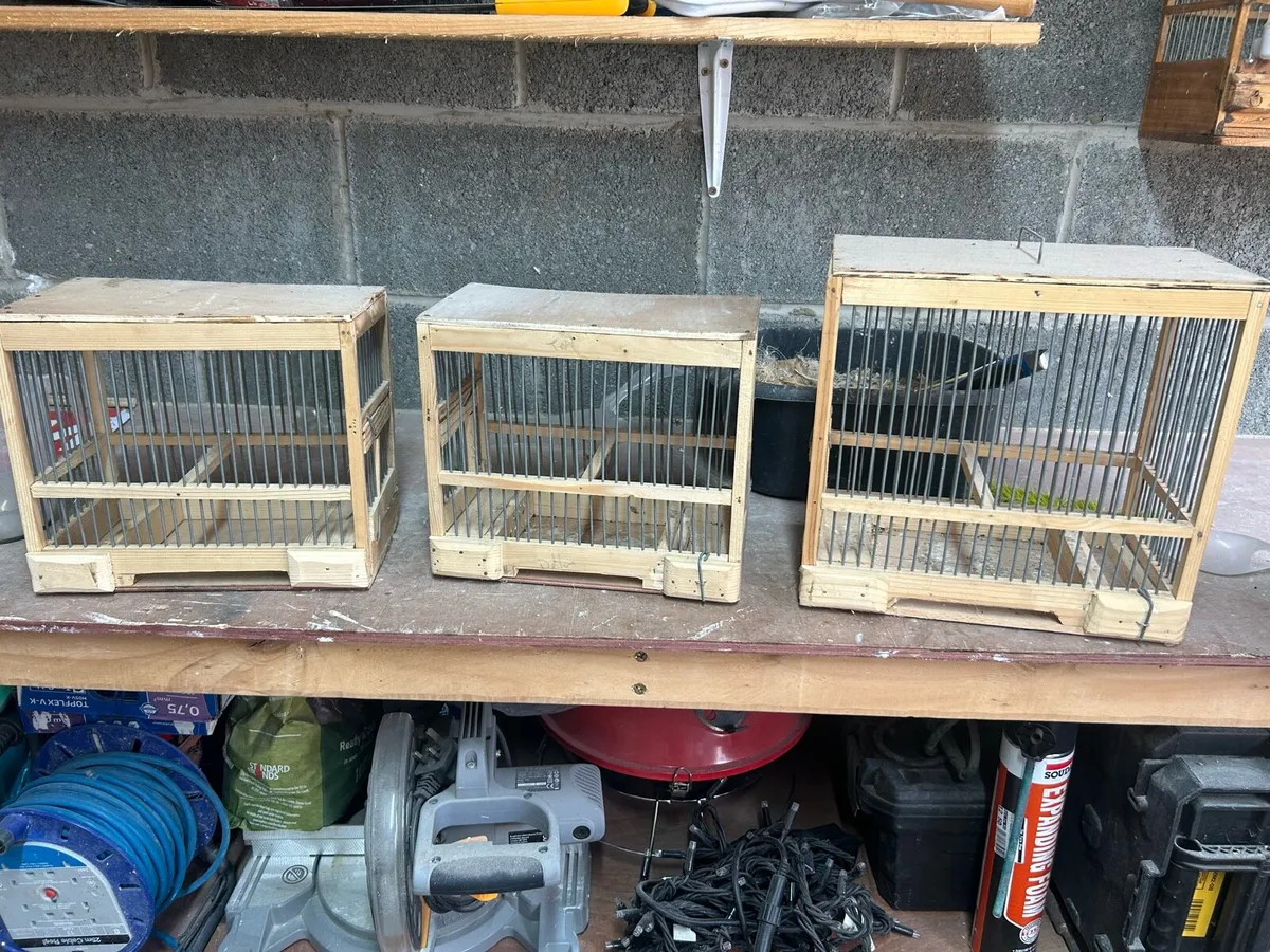 Bird cages and accessories - Image 1