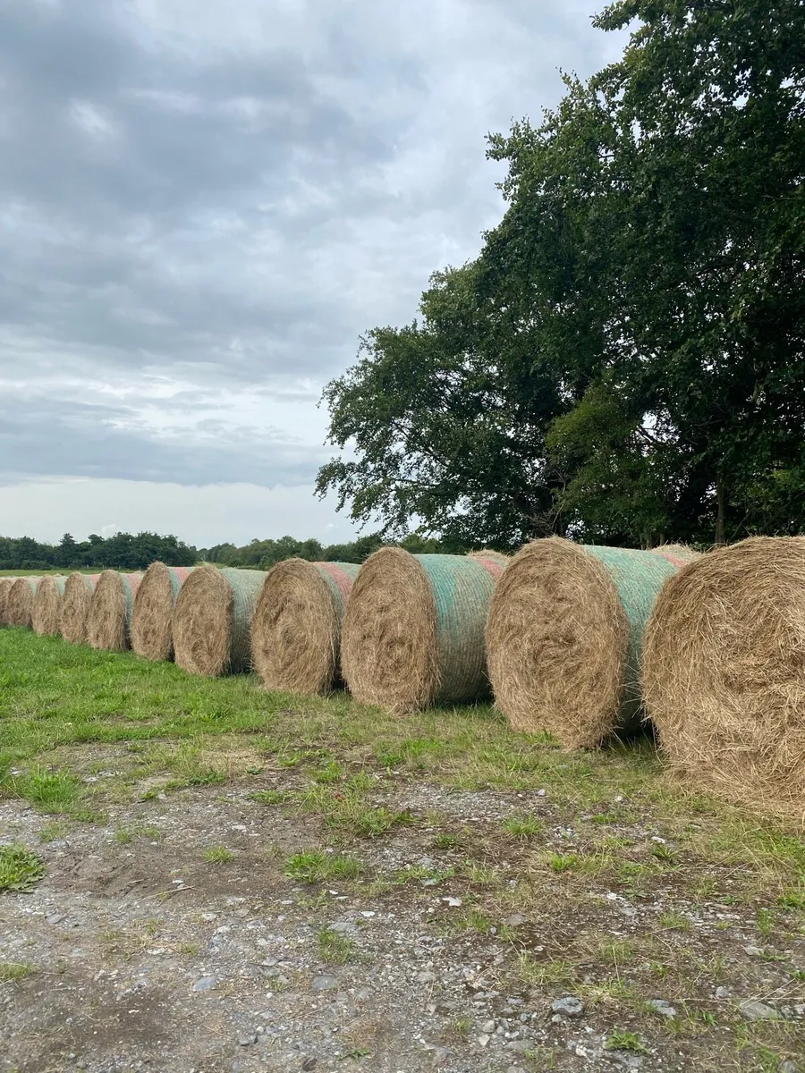 Bales of Hay