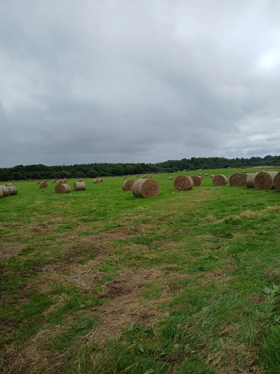Bales of hay