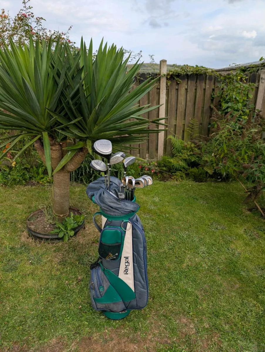 Cheap set of Golf clubs must go tonight - Image 1