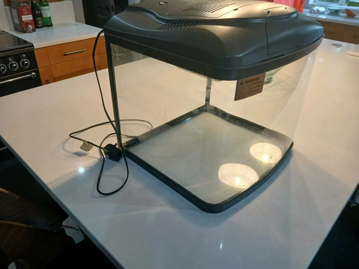 Fish Tank - Image 1