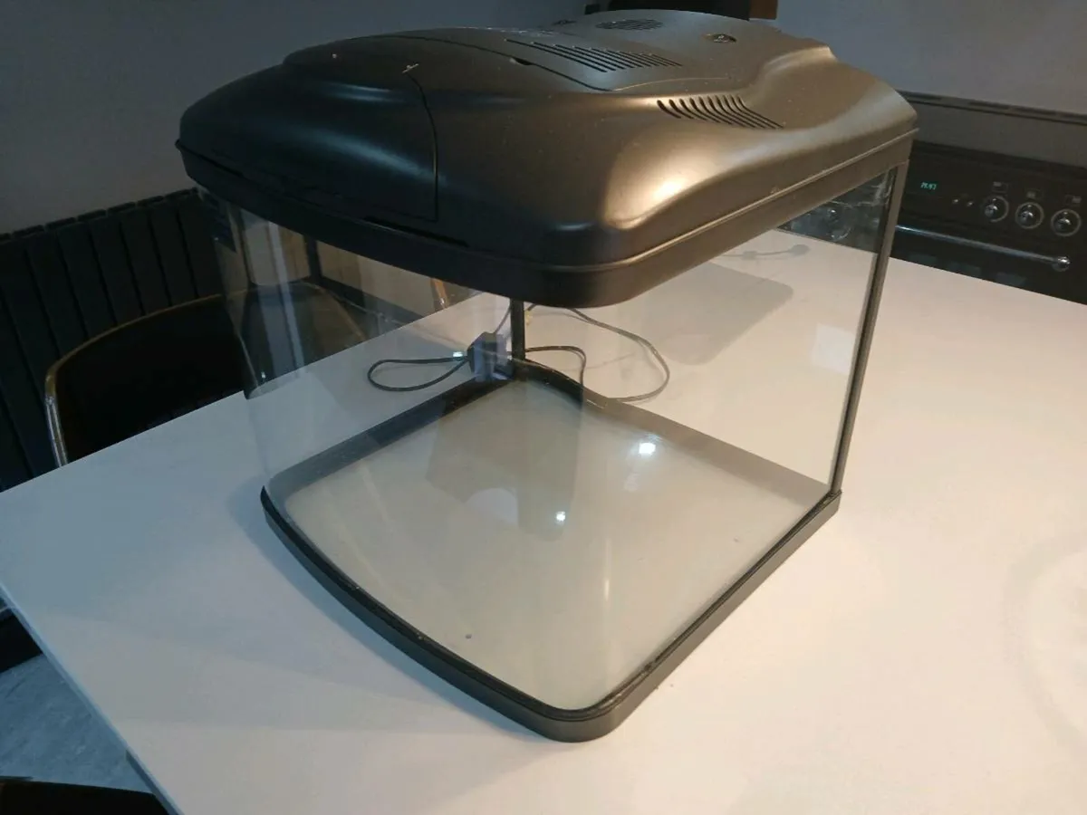 Fish Tank - Image 2
