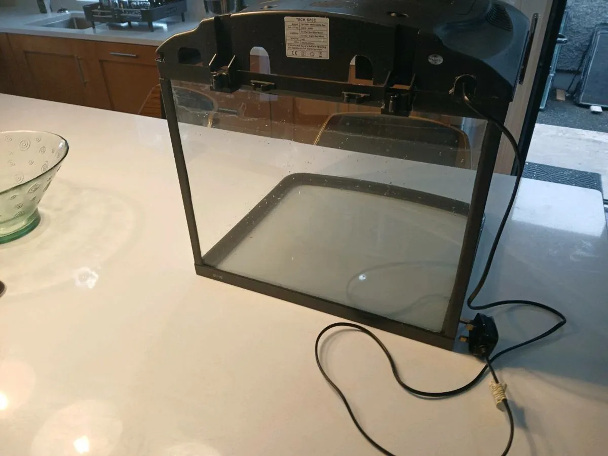 Fish Tank - Image 3