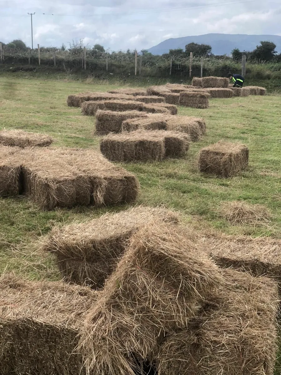 Hay bales