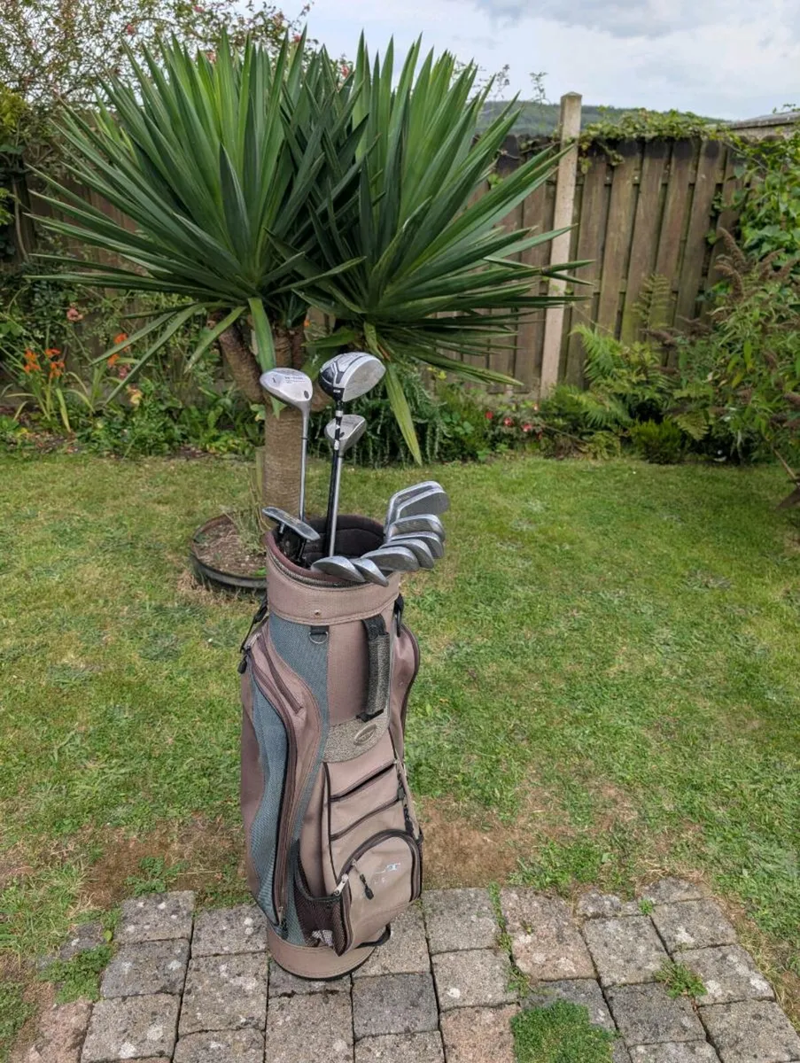 Cheap set of Golf clubs must go today - Image 1