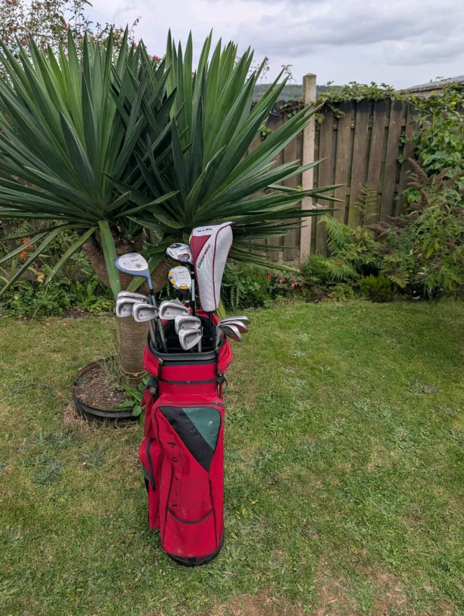 Full Wilson Golf clubs set up must go today - Image 1
