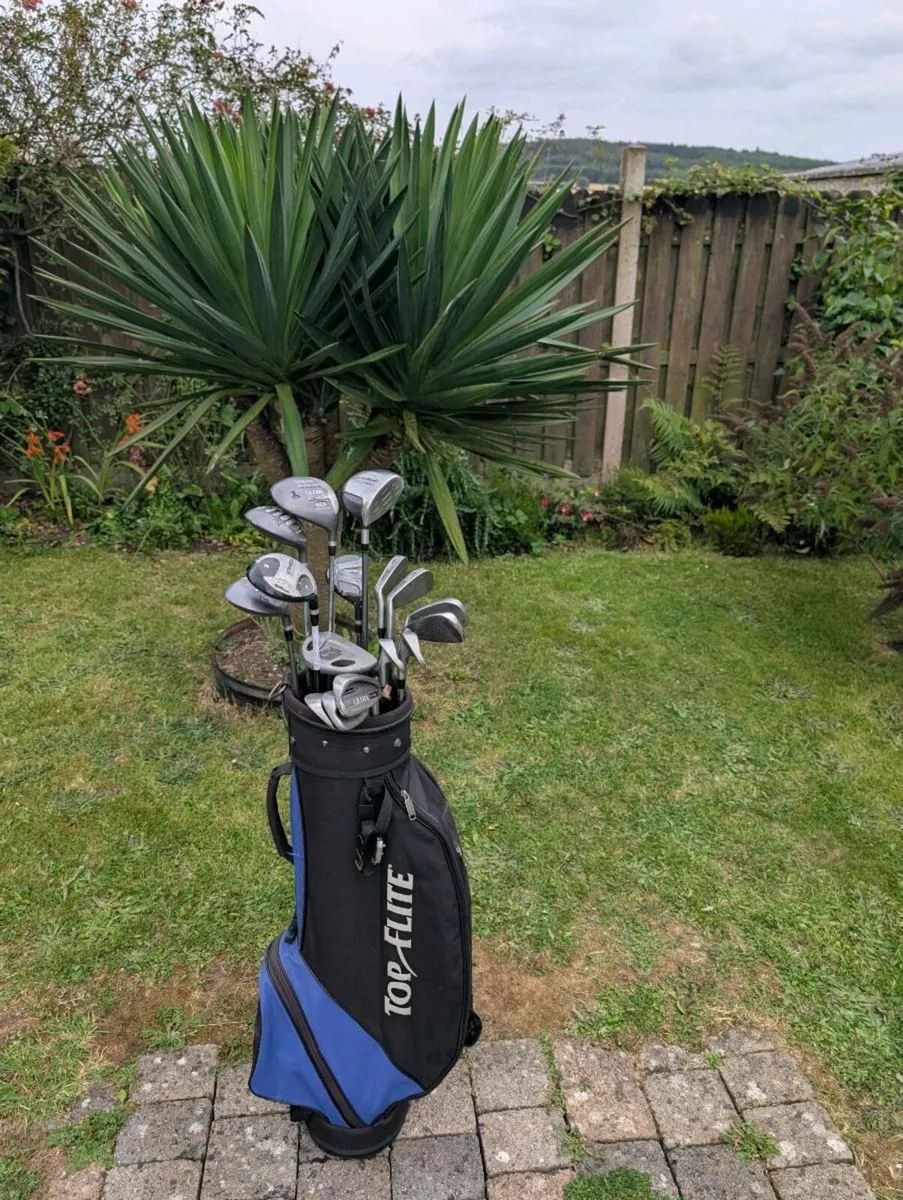 Cheap Wilson Golf clubs must go today - Image 1
