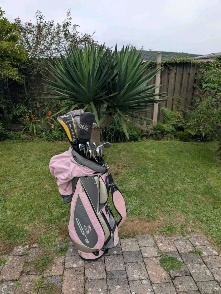 King Cobra Golf clubs must go today - Image 1