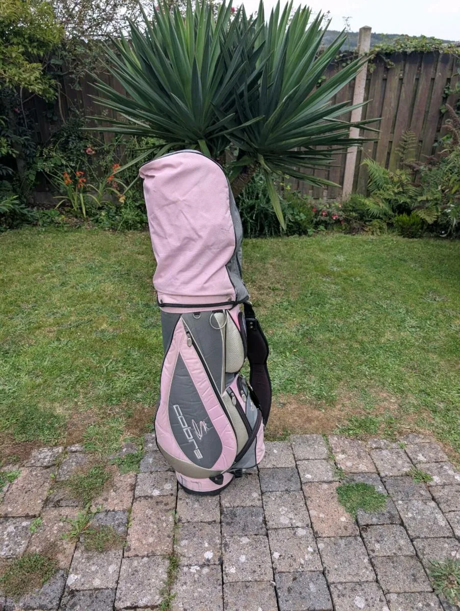 King Cobra Golf clubs must go today - Image 2