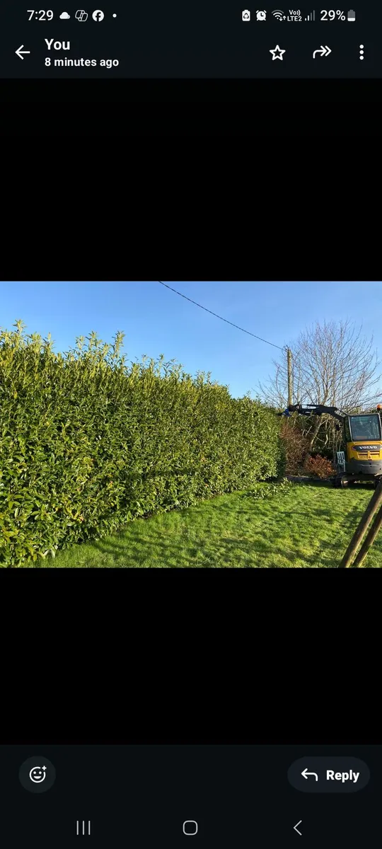 Slanetrac HC-150 hedge cutter to suit mini digger - Image 2